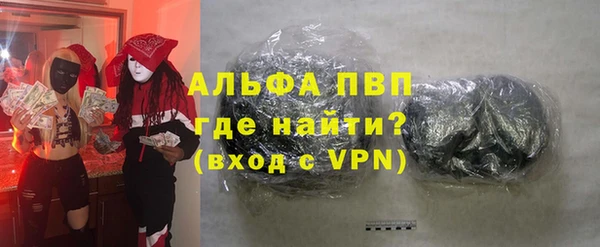 прущие грибы Медвежьегорск