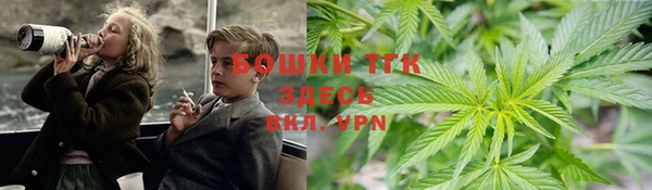 прущие грибы Медвежьегорск