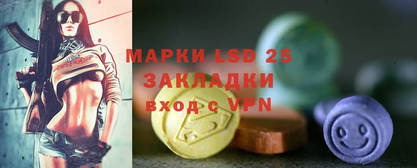 прущие грибы Медвежьегорск