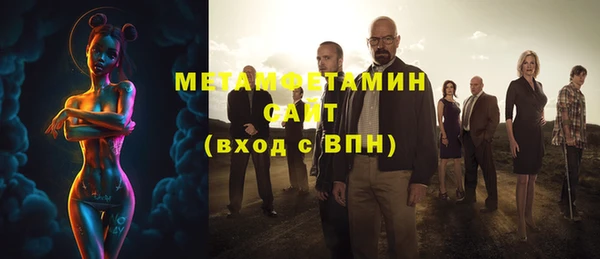 прущие грибы Медвежьегорск