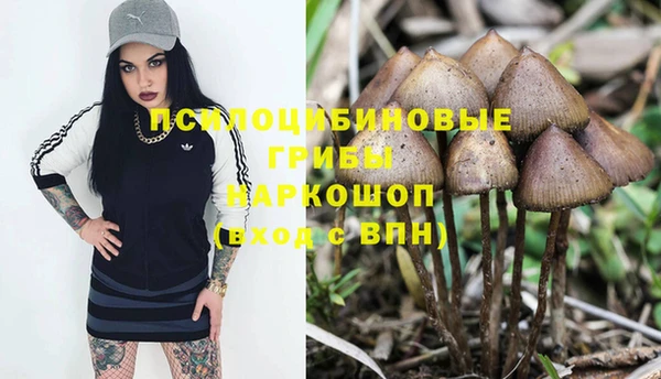 дмт Медногорск