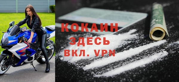 прущие грибы Медвежьегорск