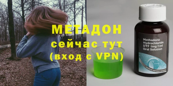 прущие грибы Медвежьегорск