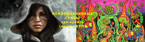 дмт Медногорск