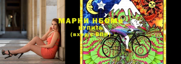 прущие грибы Медвежьегорск