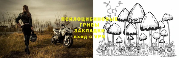 дмт Медногорск