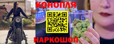 дмт Гусев