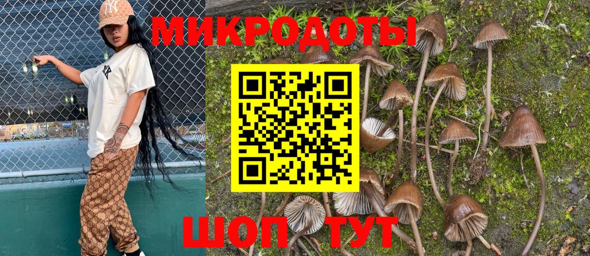 Полысаево  Псилоцибиновые грибы Magic Shrooms  Вход с VPN 