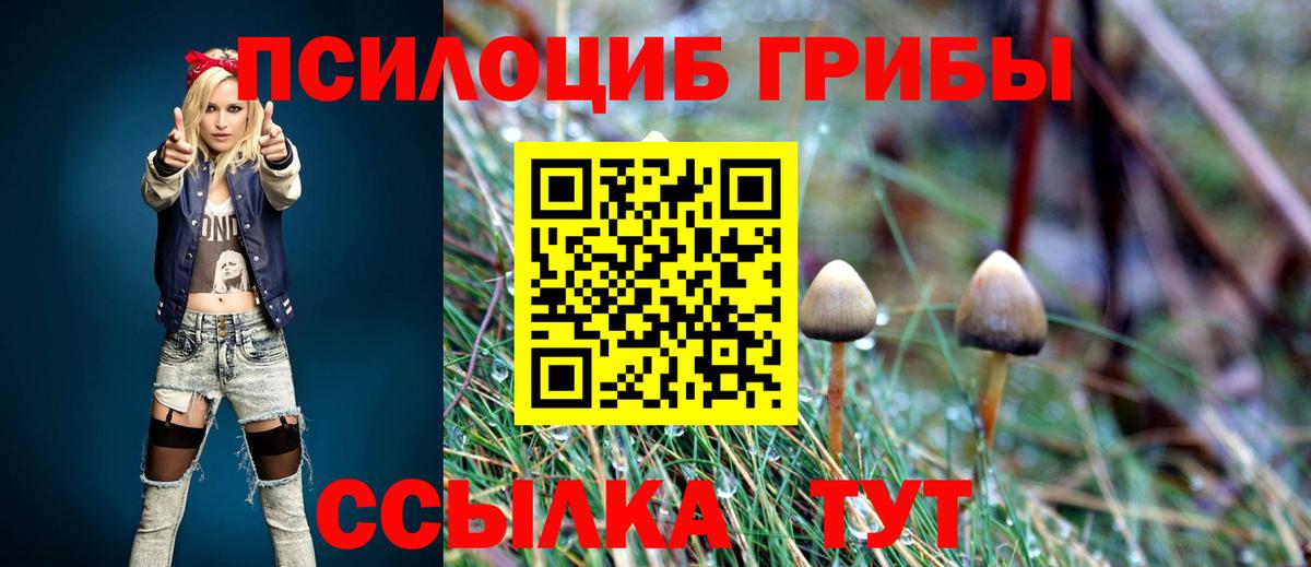 Галлюциногенные грибы Cubensis Полысаево